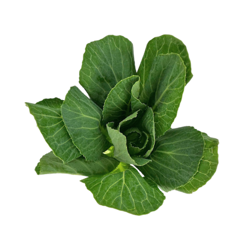 Kale White Mini (10 stem bunch)