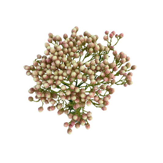 Rice Flower Pink (10 stem bunch)