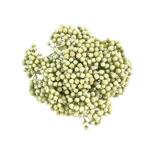 Rice Flower White (10 stem bunch)