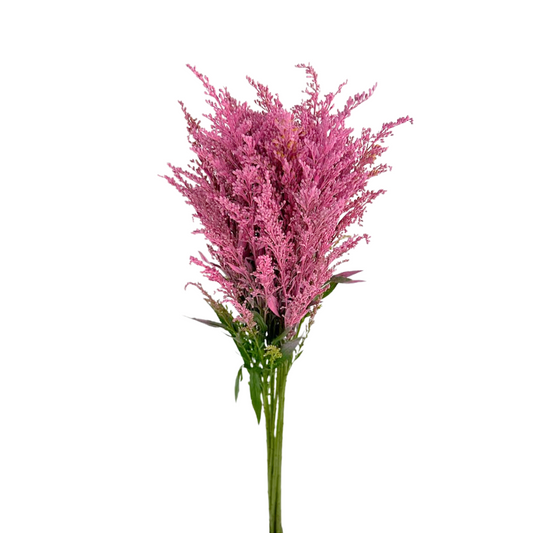 Solidago Tinted Hot Pink (Box-120 stems)