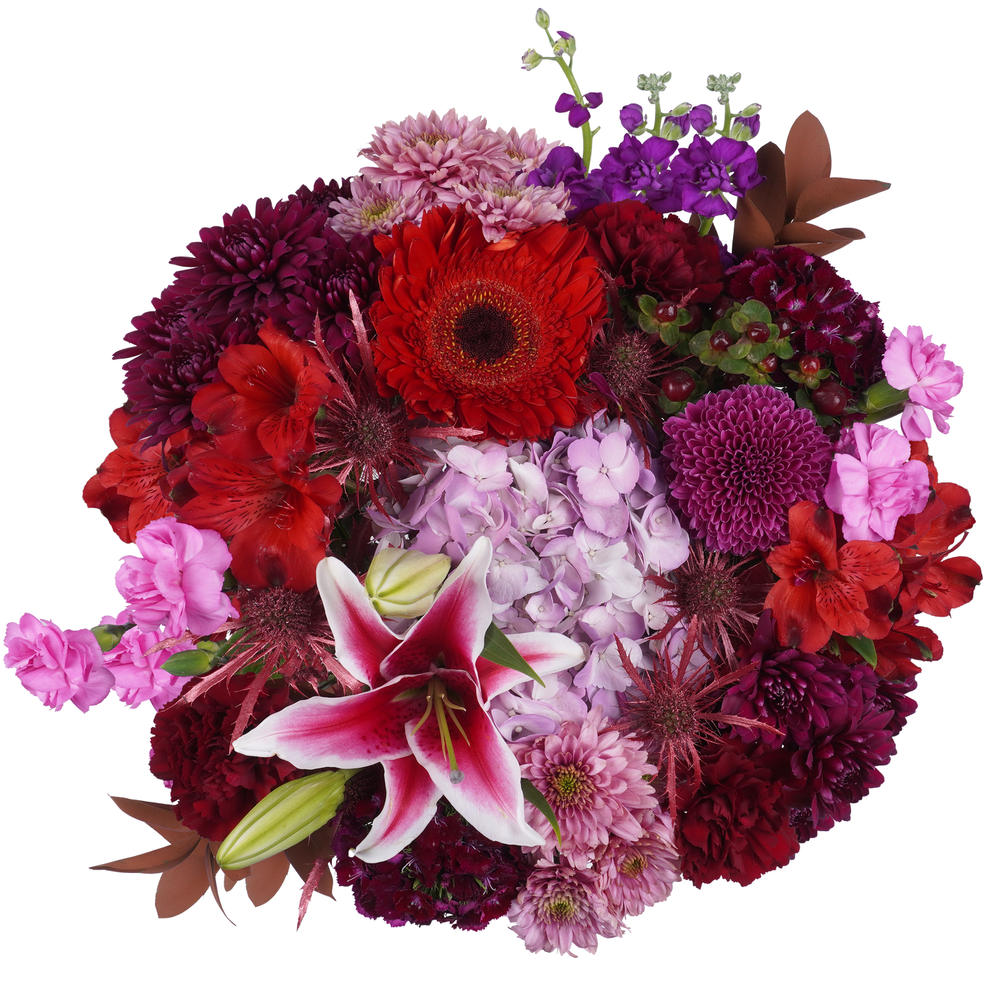 Crimson Spells – Enchanted and Alluring