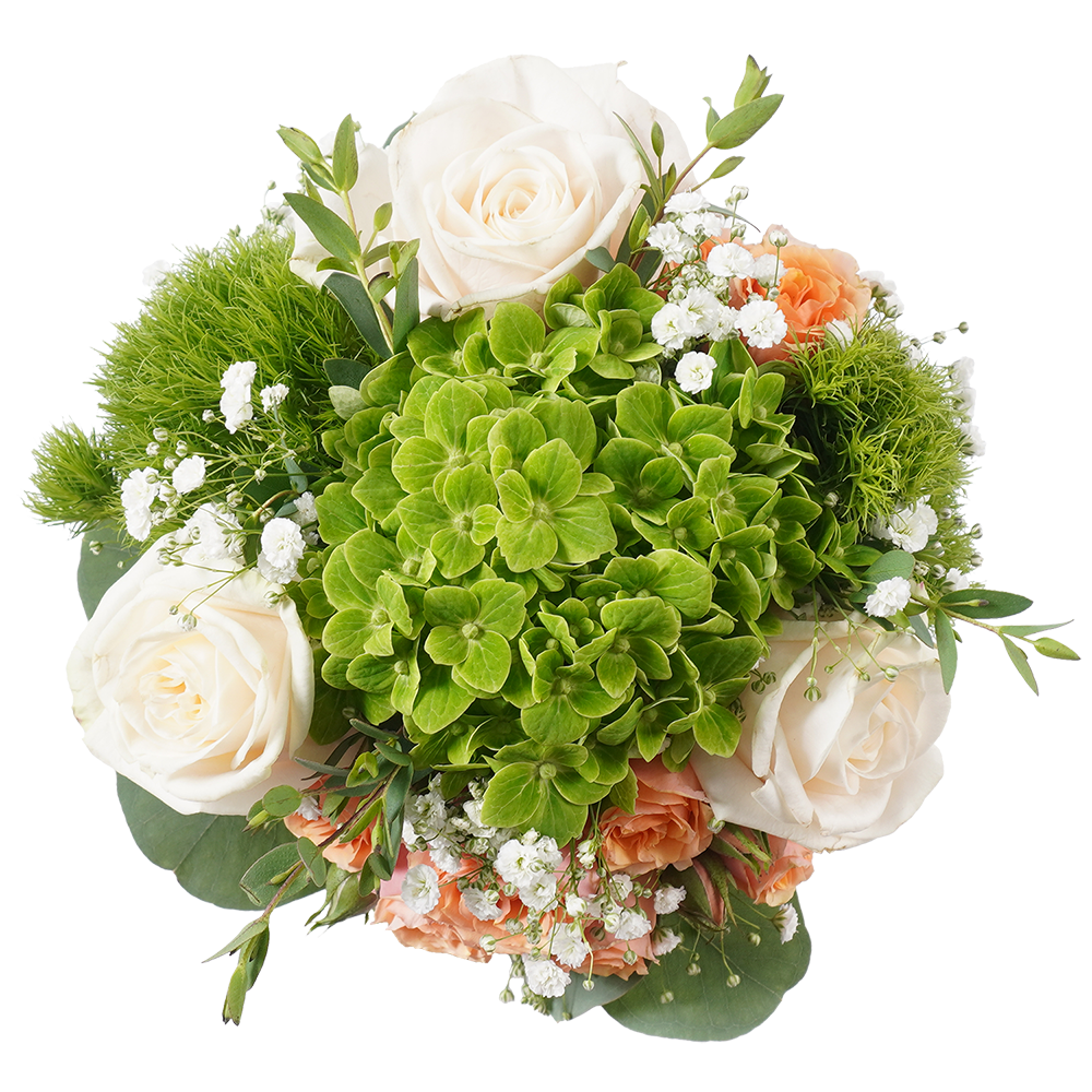 Eternity Elegance – Pure Simplicity, Lasting Beauty