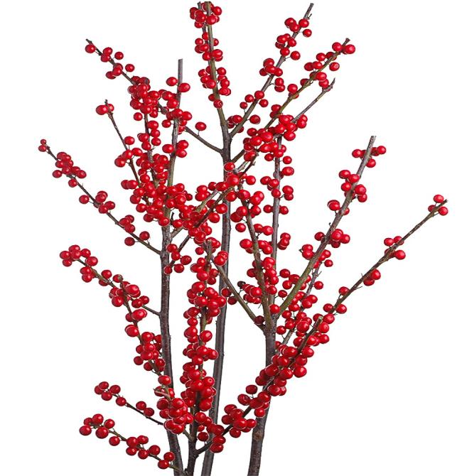 Ilex Red (5 Stems)