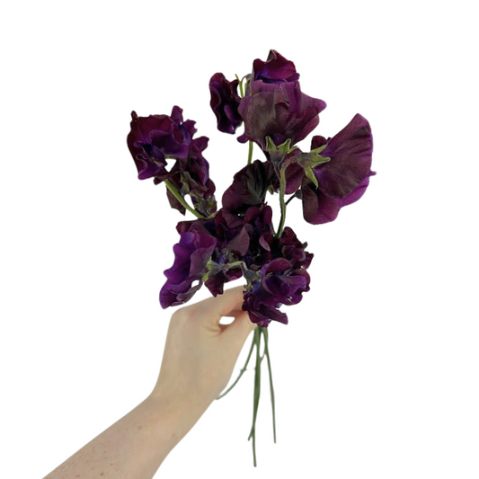 Sweet Pea