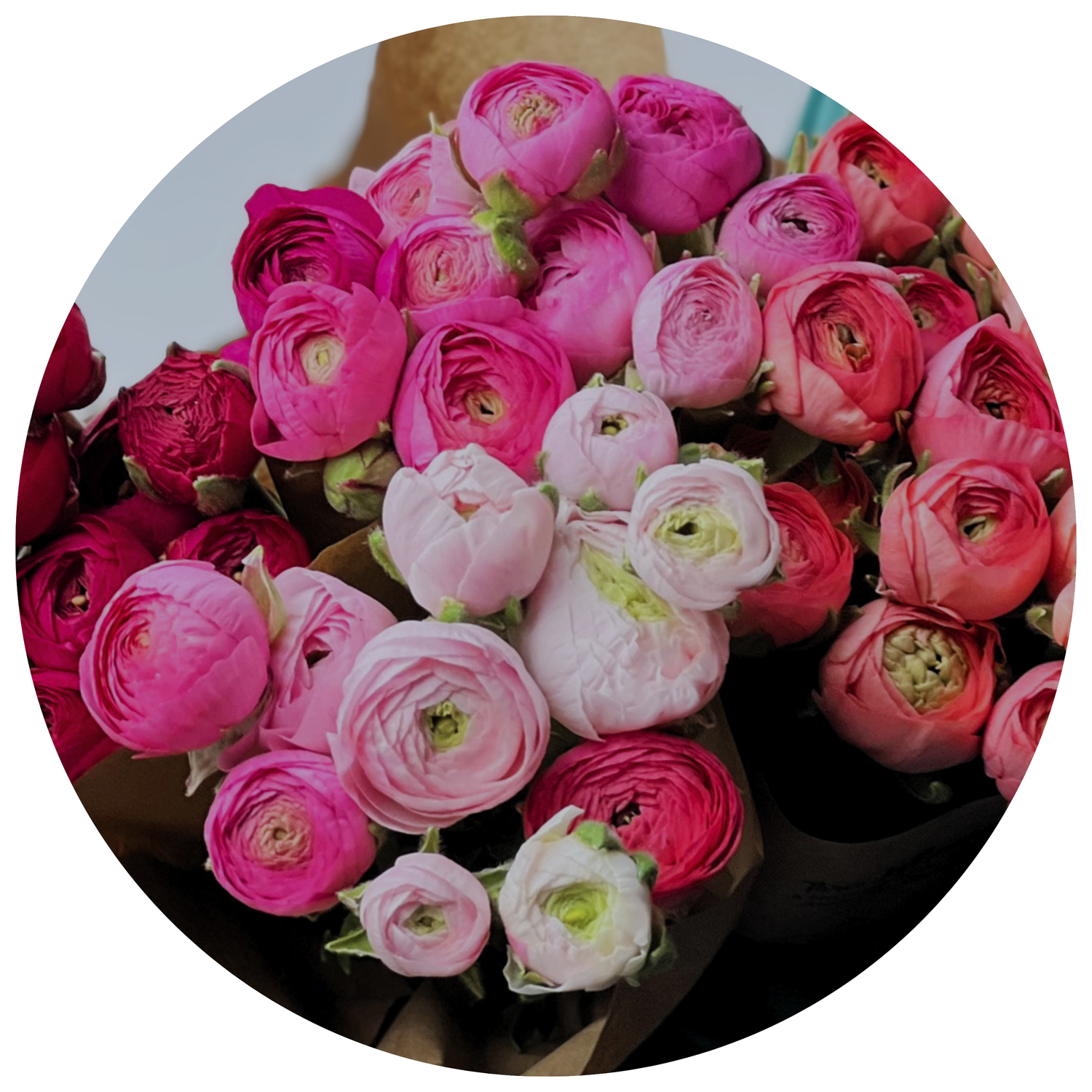ranunculus