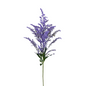Solidago Tinted Lavender (Box-120 stems)