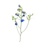 Delphinium Spray Dark Blue (10 stem bunch)