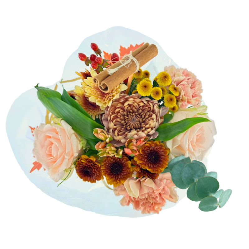 Healing Cocoa Grande Bouquets-Comfort, Warmth, and a Touch of Sweetness (5 sizes available)