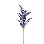 Solidago Tinted Indigo