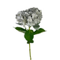 Hydrangea Tinted Silver (25 stems)