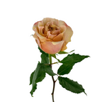 Garden Rose Bronze