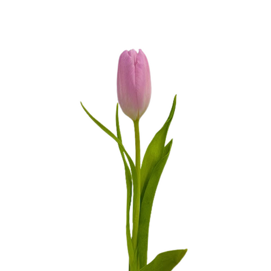 Tulips Light Pink (10 stems)