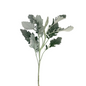 Dusty Miller (10 stem bunch)