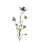 Nigella Blue (10 stem bunch)