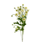 Feverfew Button (10 stem bunch)