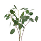 EUCALYPTUS SILVER DOLLAR (10 STEM BUNCH)