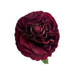 Peony Red Old Faithful