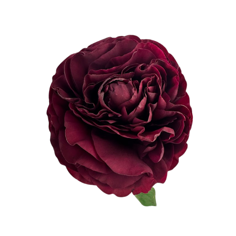 Peony Red Old Faithful