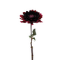 DAHLIA BURGUNDY (5 STEM BUNCH)