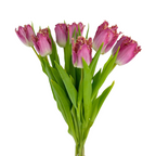 Tulip Frill Hot Pink