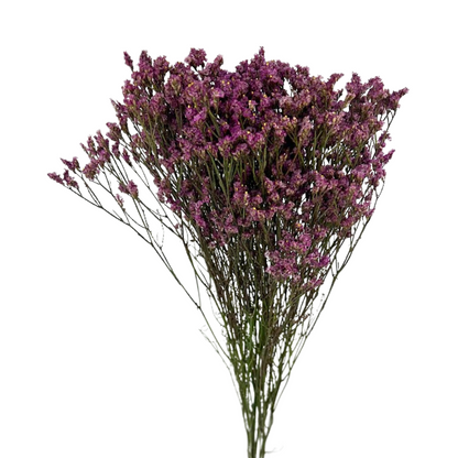 Limonium Dark Pink (10 stem bunch)