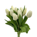 Tulips White (10 stems)