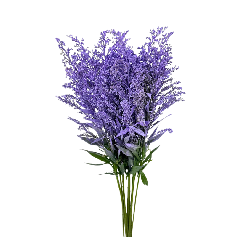 Solidago Tinted Lavender