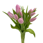 Tulips Light Pink (10 stems)