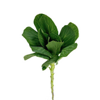 Kale White Mini
