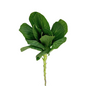 Kale White Mini (10 stem bunch)