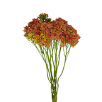 Yarrow Orange (10 stems)