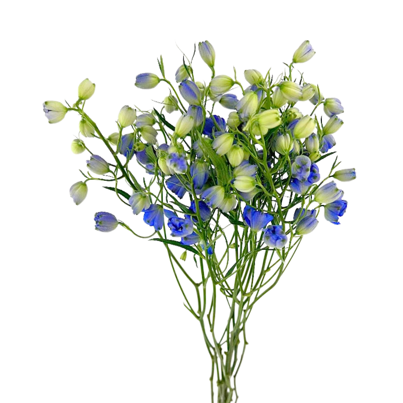 Delphinium Spray Dark Blue