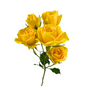 SPRAY ROSE YELLOW BABE (10 STEM BUNCH)