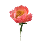 Peony Coral Charm
