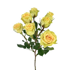 Spray Roses Peach (10 stems)