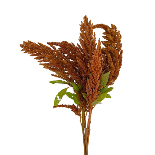 Amaranthus Upright Bronze
