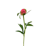 Peony Coral Charm