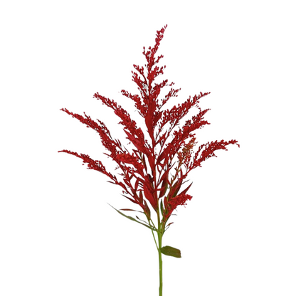 Aster, Solidago - Tinted