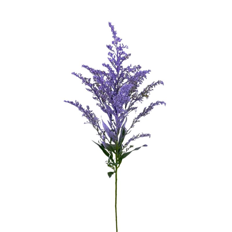 Aster, Solidago - Tinted