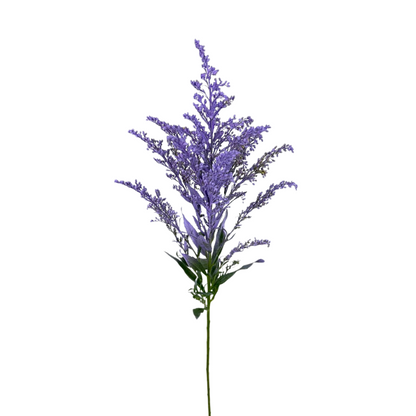Aster, Solidago - Tinted