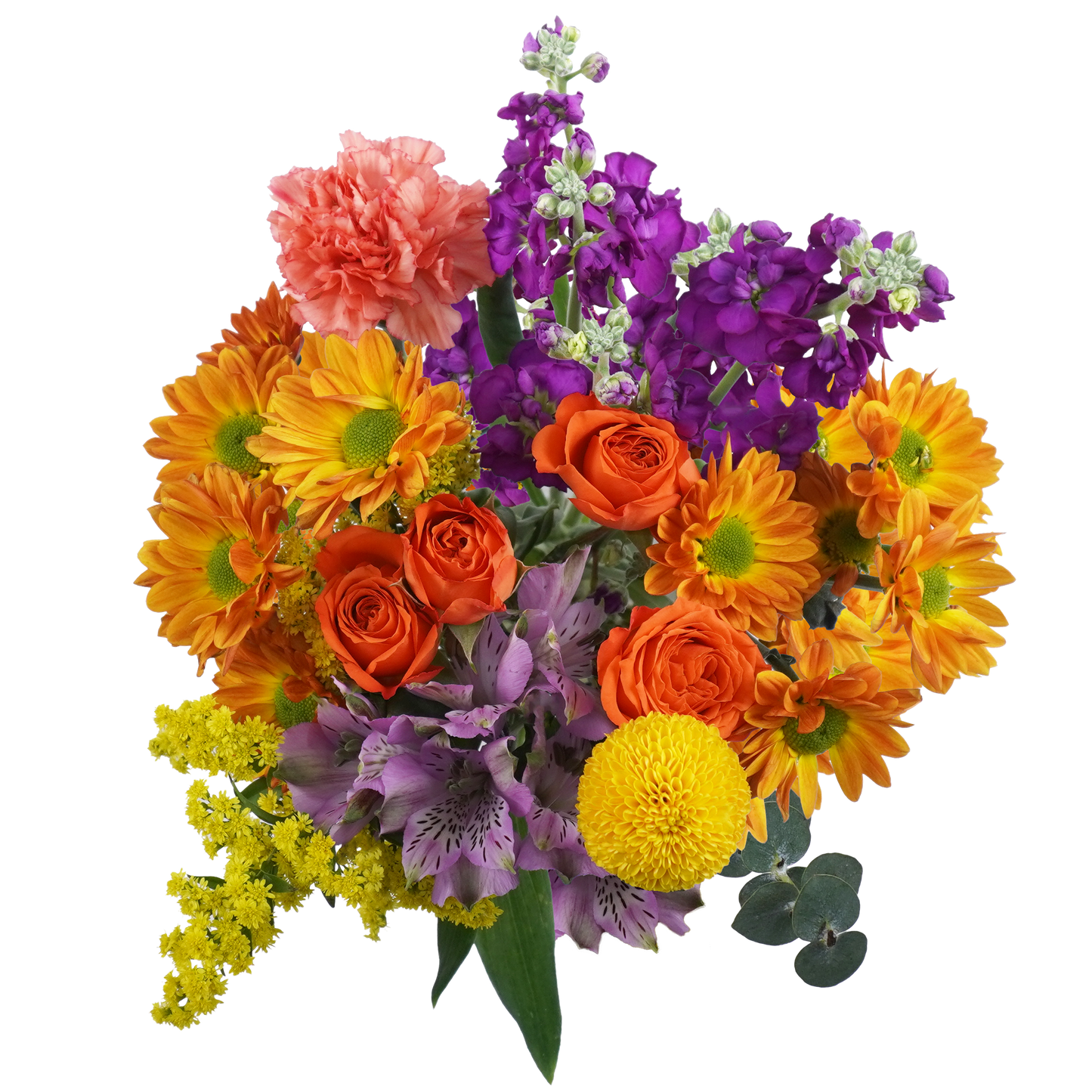 Amber Glow – A Warm Embrace of Autumn Light