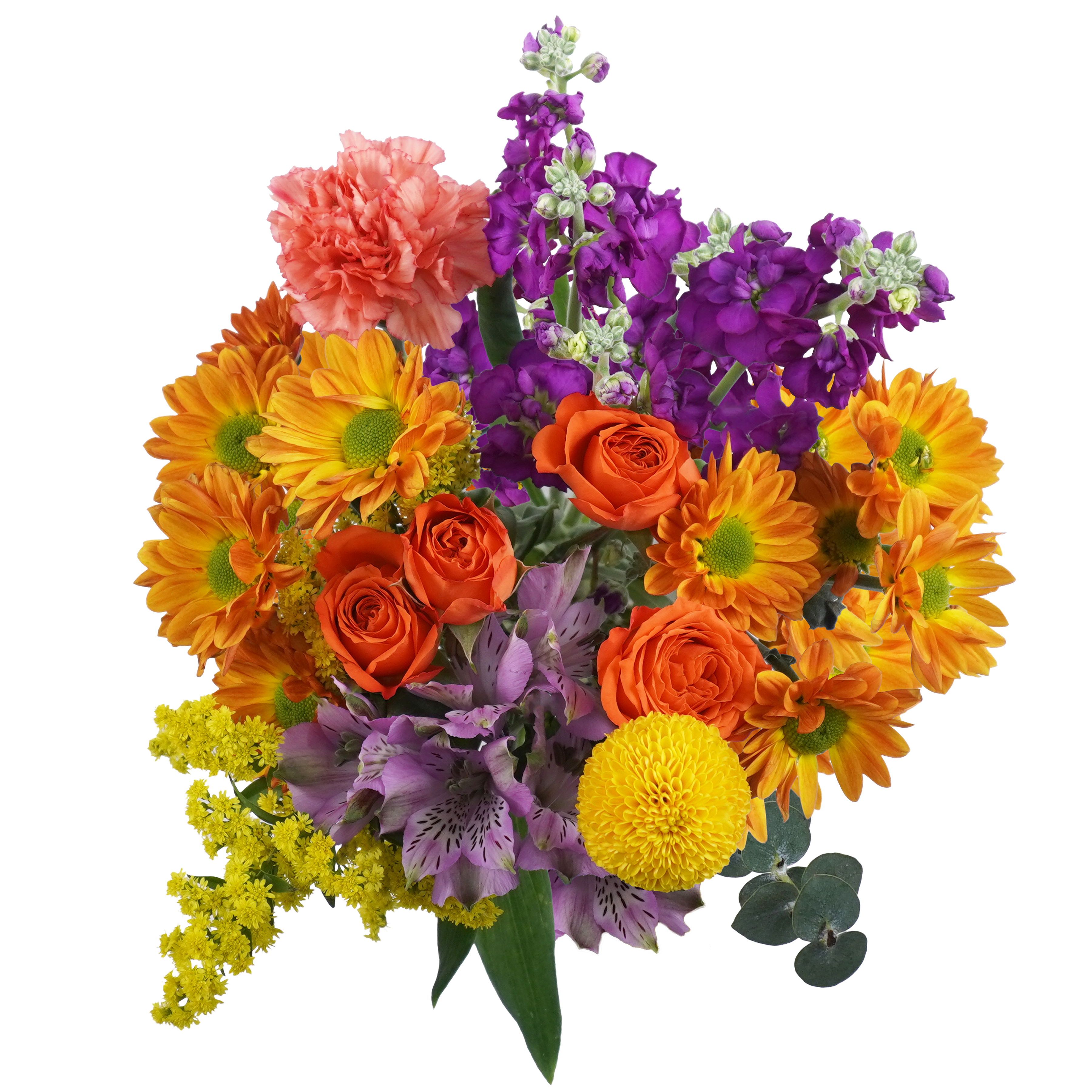 Amber Glow – A Warm Embrace of Autumn Light