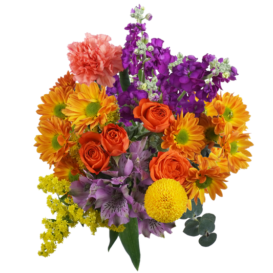 Amber Glow – A Warm Embrace of Autumn Light