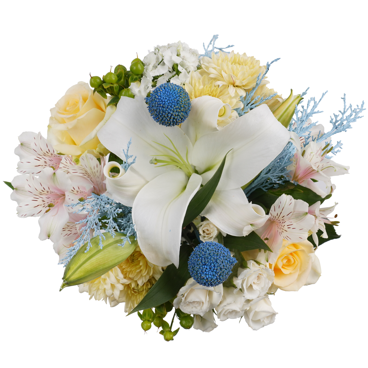 Arctic Dreams – Cool Tones, Pure Serenity