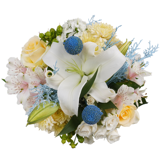 Arctic Dreams – Cool Tones, Pure Serenity