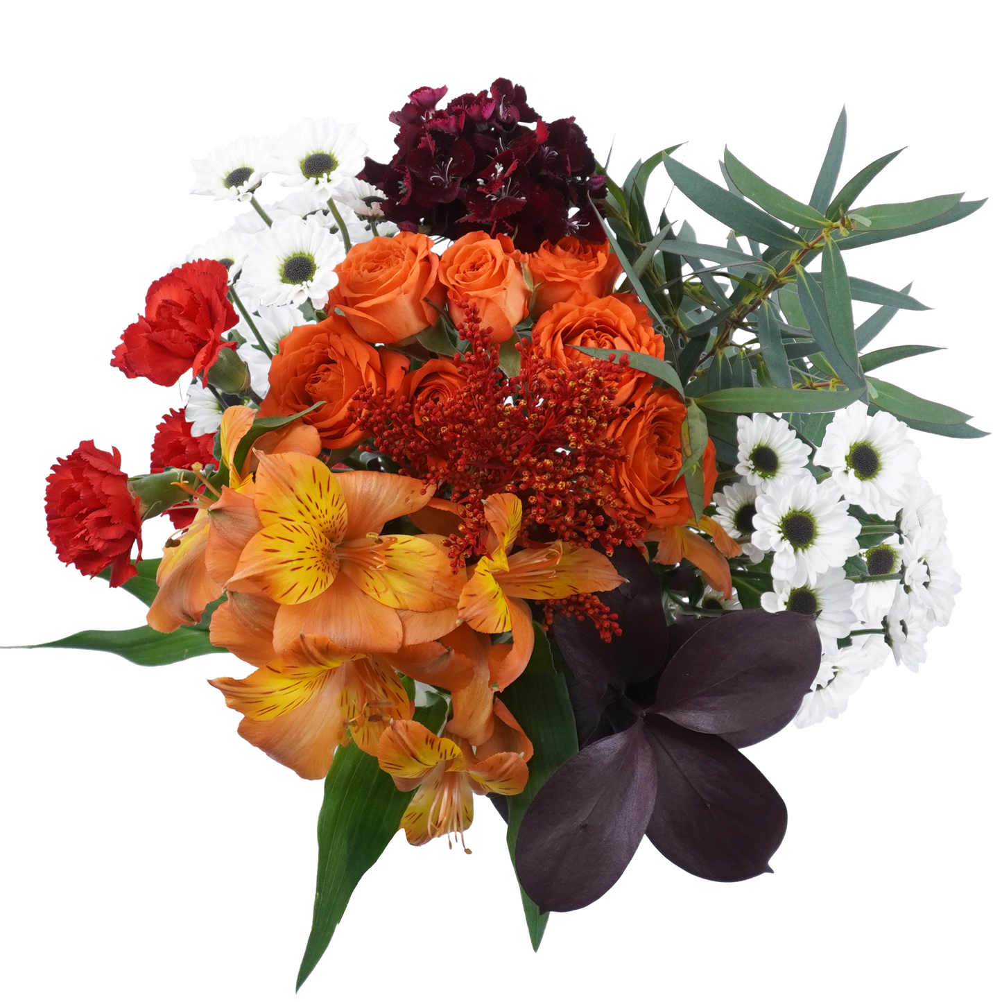 Autumn Mist – Gentle Earthy Charm