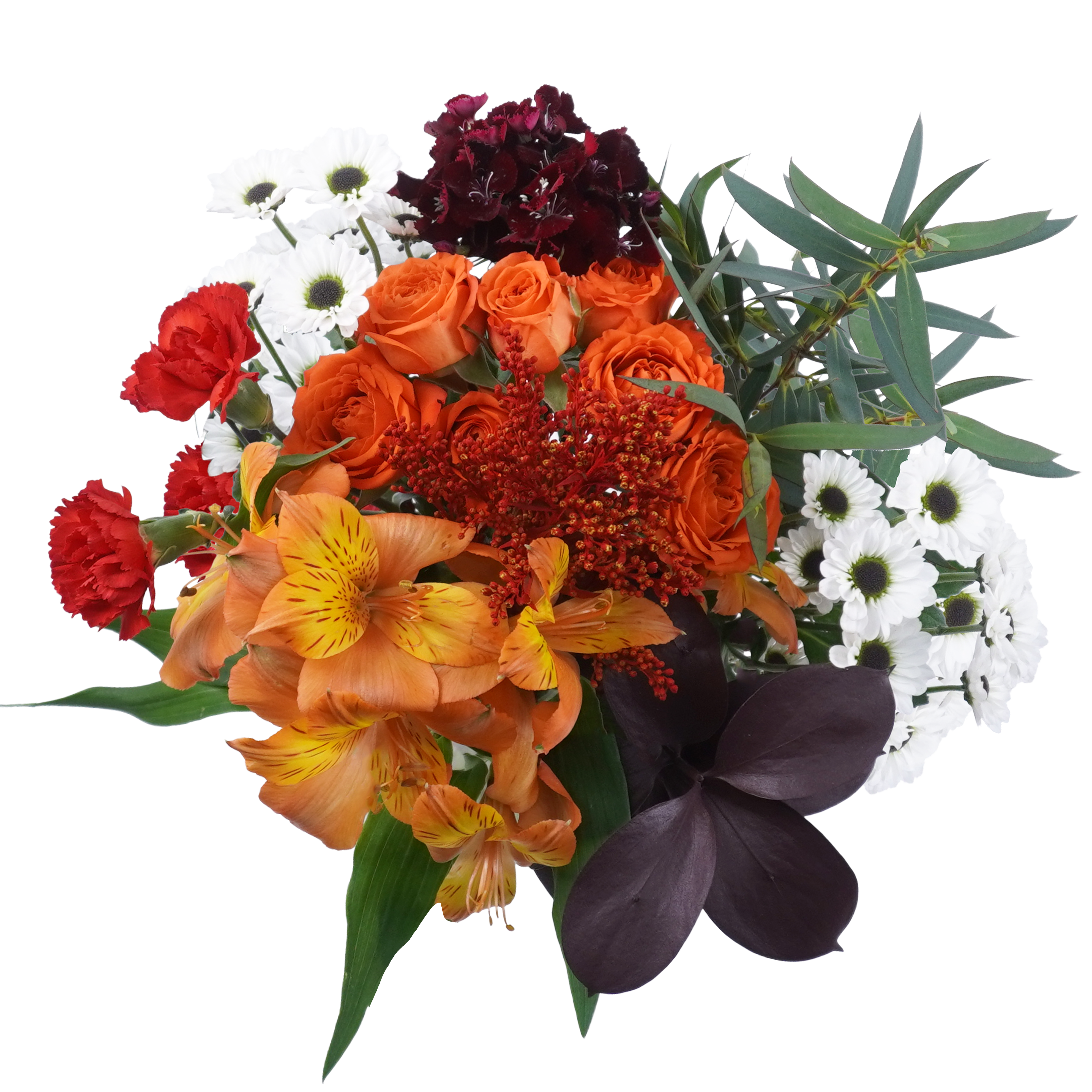 Autumn Mist – Gentle Earthy Charm