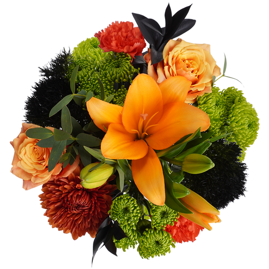 Black Cat – Mysterious and Modern