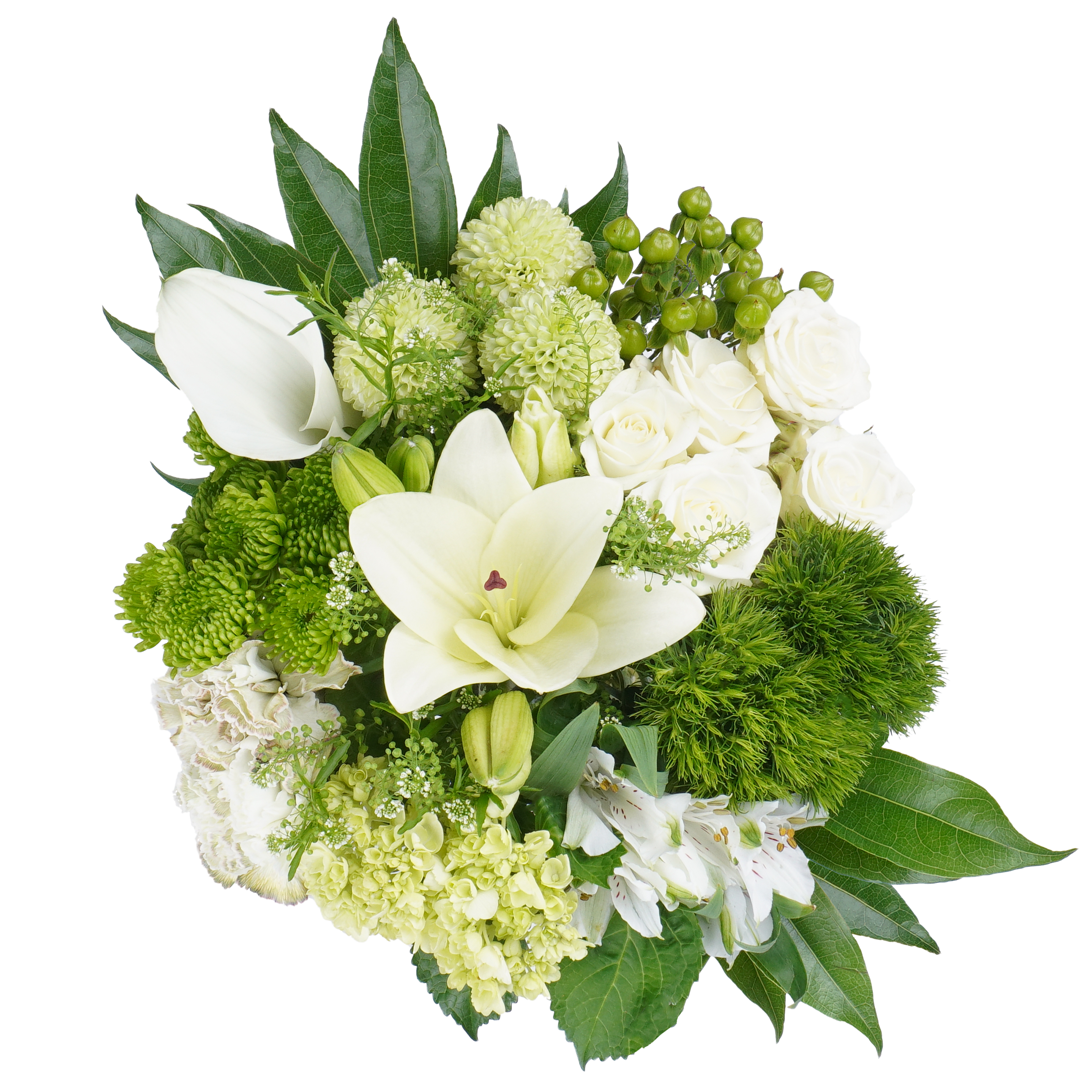 Brave Steps – Confidence in Color