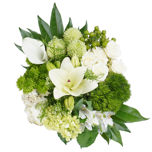 Brave Steps – Confidence in Color